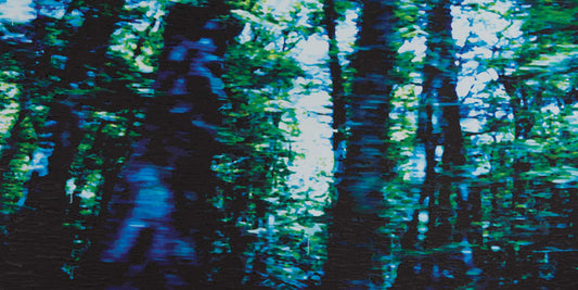 '400 Year Moment' - 180w x 90h x 4d cm