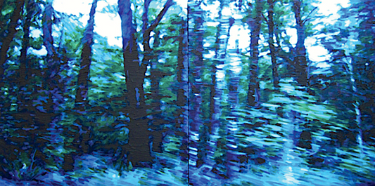 'Fleeting 2' - 120w x 60h x 4d cm, diptych