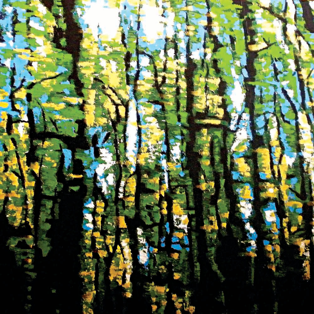 'Journeys Through Green 1' - 100w x 100h x 4d cm