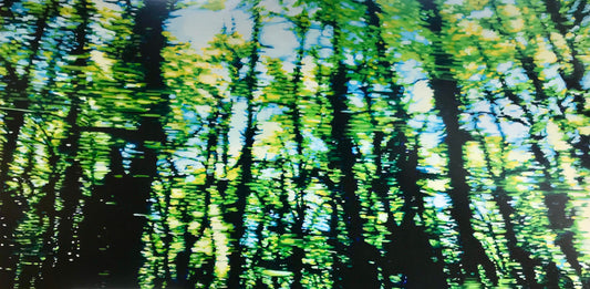 'Ephemeral' - 150w x 75h x 4d cm