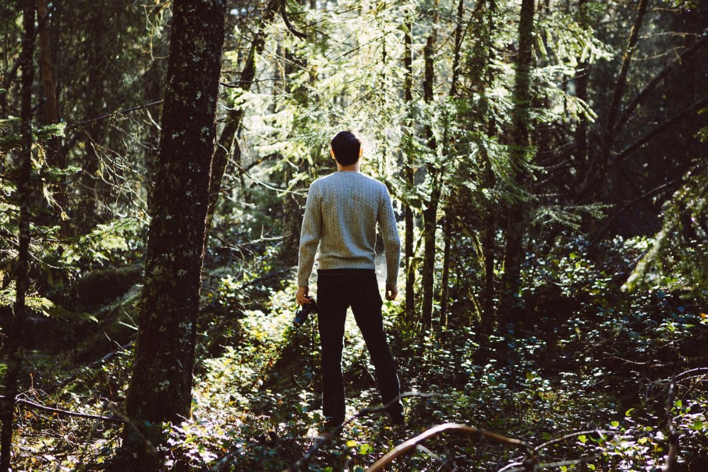 A Man Standing in a forest admiring nature