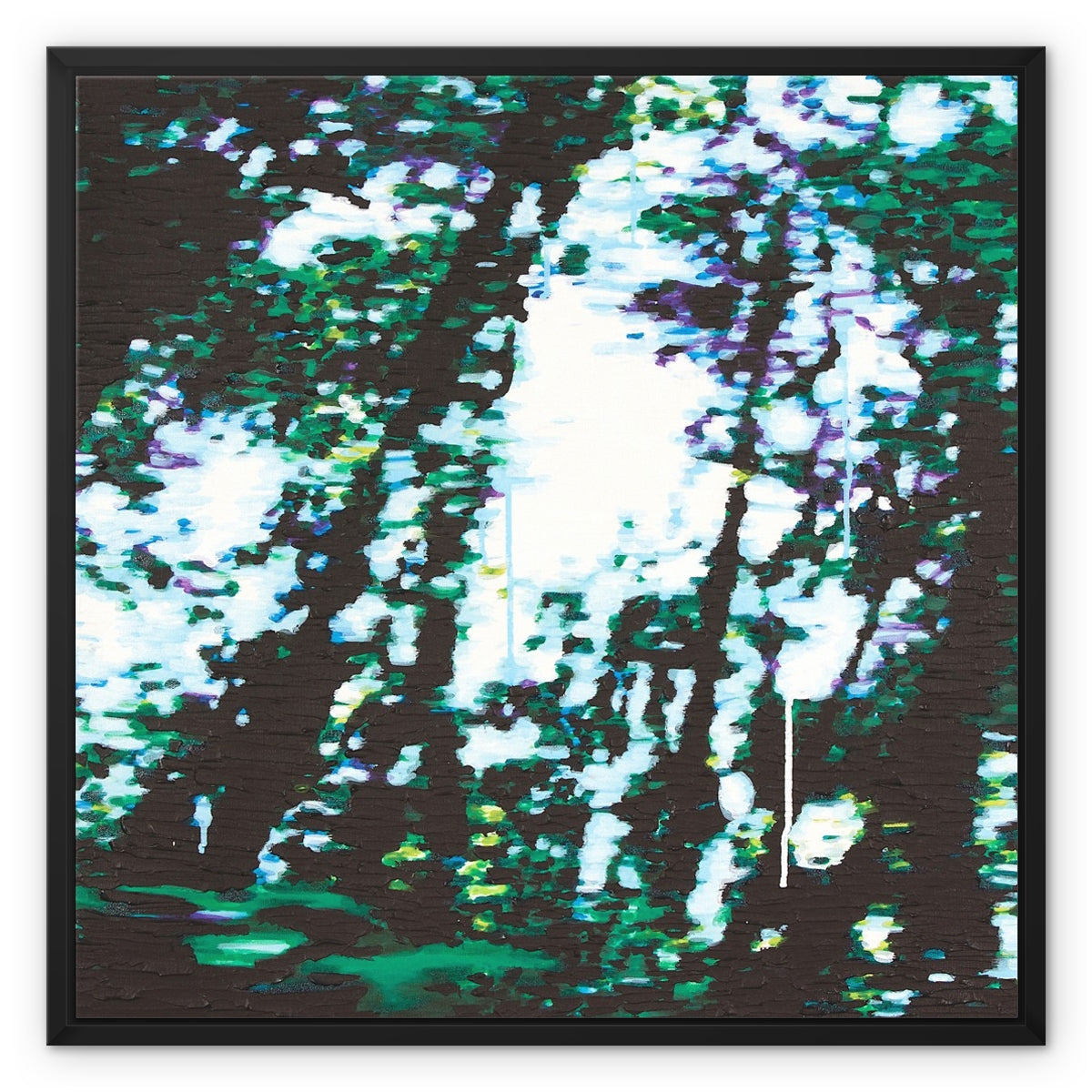 image6
